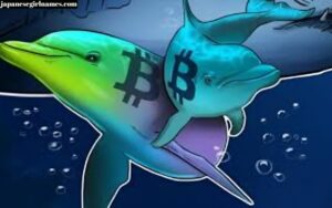Crypto30x.com Catfish