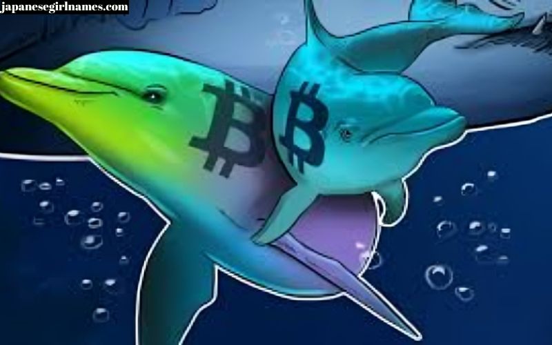 Crypto30x.com Catfish
